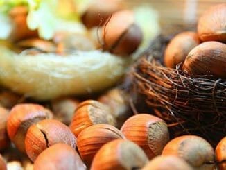 Lískové ořechy a jejich zdravotní výhody.
