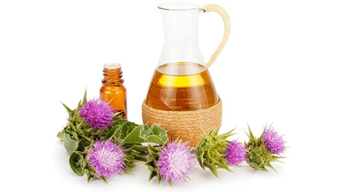 Ostropestřecový olej: účinky a dávkování.