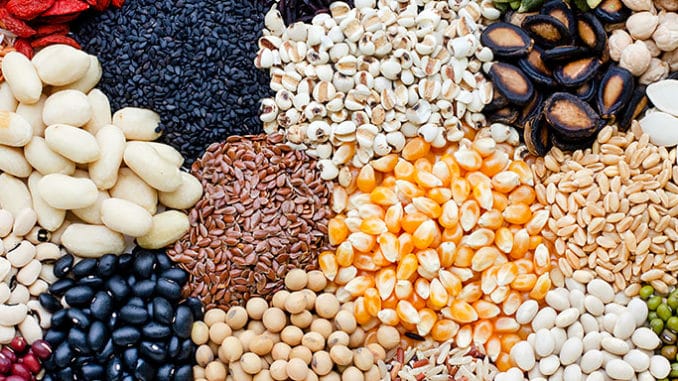 Proteiny: 17 způsobů jak je získat jinak než z masa.