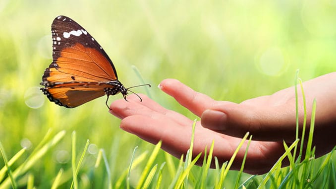 Horoskop na tento týden od 20. do 26. května 2019.