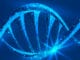Přeprogramování DNA za pomocí frekvencí a vibrací?