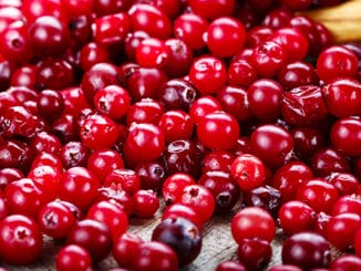 Brusinky: 101 nutričních údajů a zdravotních přínosů.