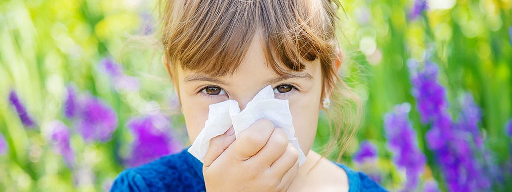 Zkřížená alergie: Jak se jí ubránit?