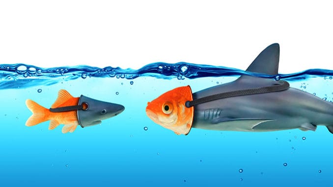 Pravdy o životě, které si nikdo nechce připustit.