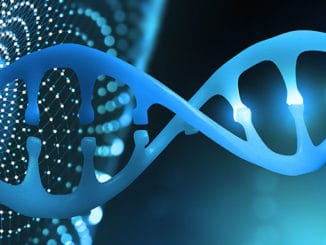 Pouze 7% DNA moderního člověka je jedinečných.